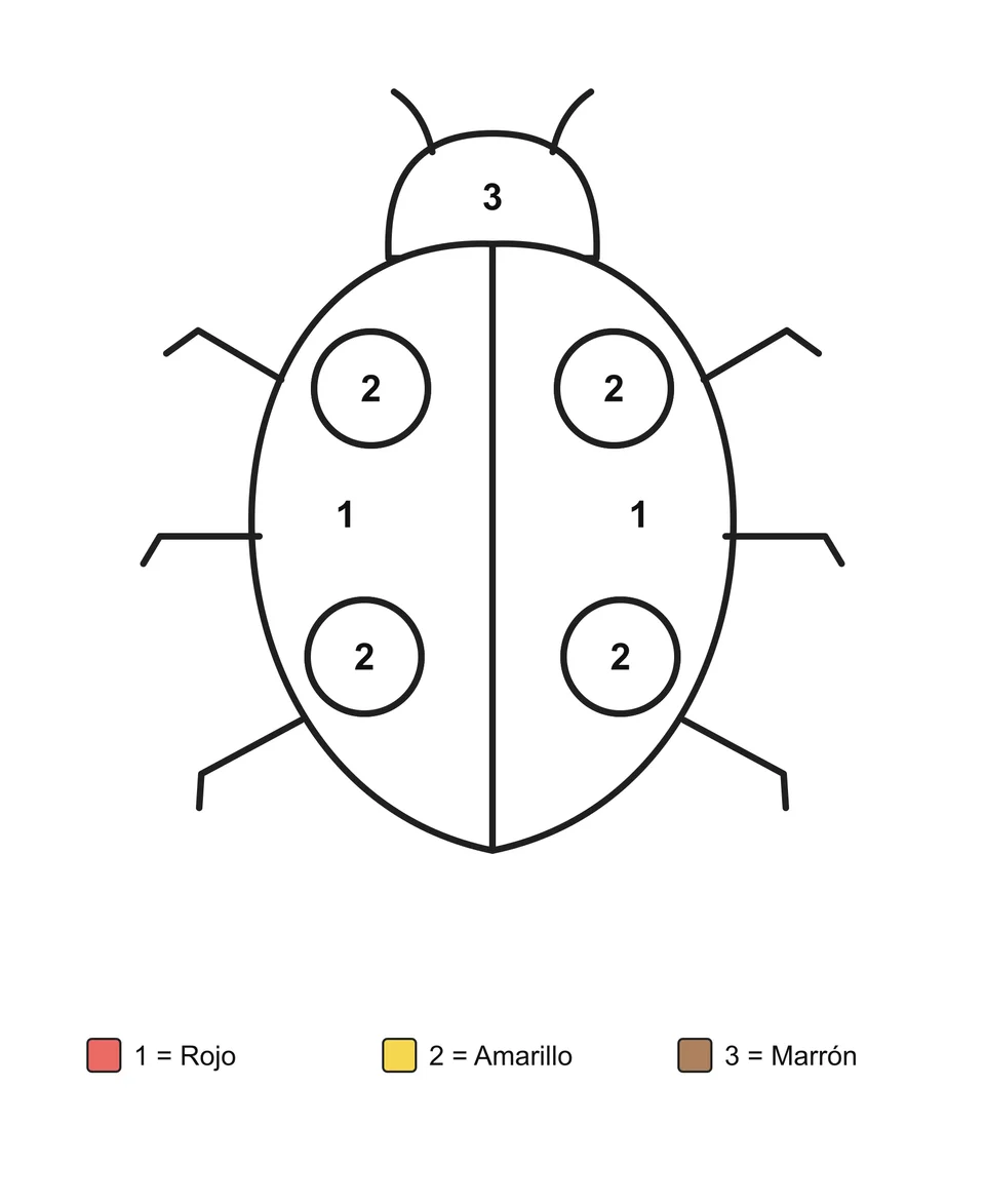 Una mariquita con cuatro manchas redondas, con zonas numeradas y una clave de colores escrita.