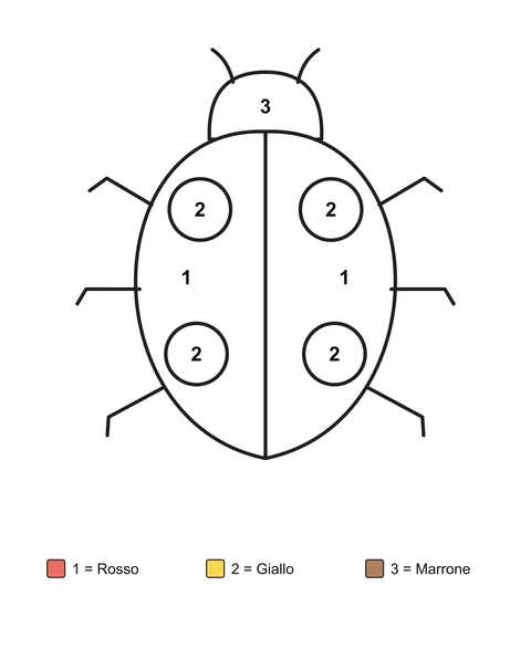 Una coccinella con quattro macchie rotonde, con zone numerate e una legenda con i nomi dei colori.