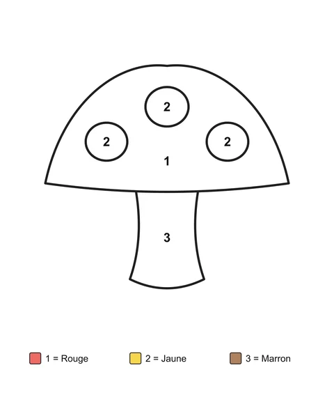 Un champignon avec trois taches sur le chapeau, avec des zones numérotées et un code couleur écrit.