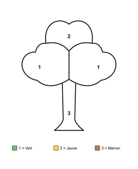 Un arbre avec un tronc et trois parties de feuillage arrondies, avec des zones numérotées et un code couleur écrit.