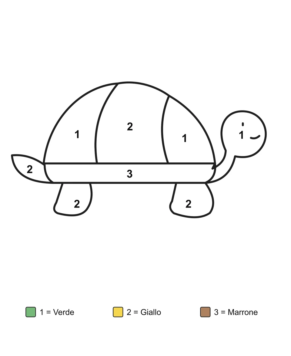 Una tartaruga di profilo con il guscio diviso in più zone, con zone numerate e una legenda con i nomi dei colori.