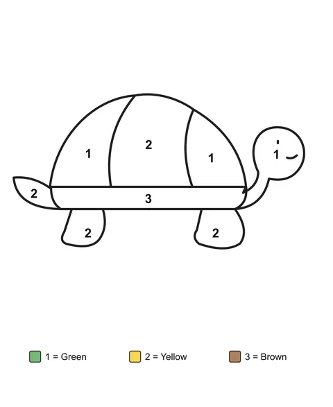 A side-view turtle with a shell divided into sections, with numbered areas and a written color key.