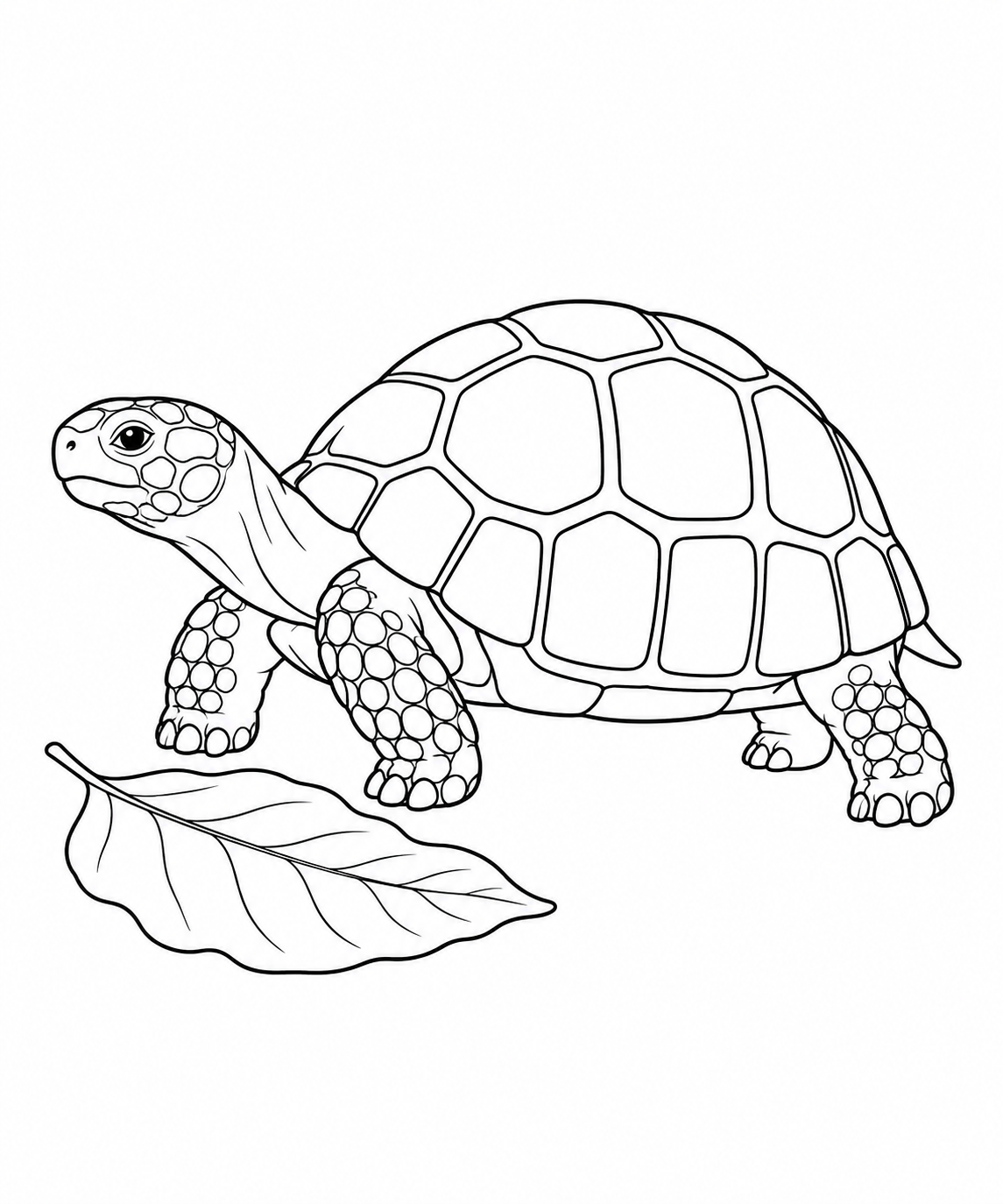 A small red-footed tortoise stands beside one large fallen leaf.