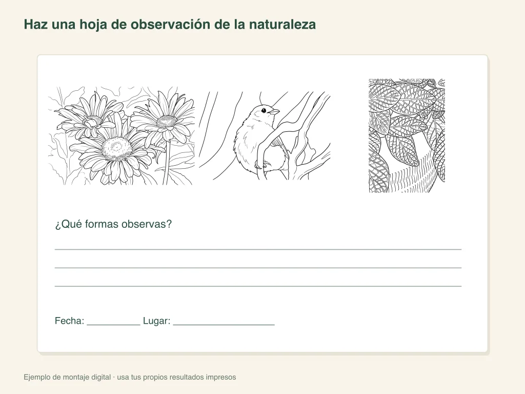 Una página de observación de la naturaleza: distribución de la actividad en papel