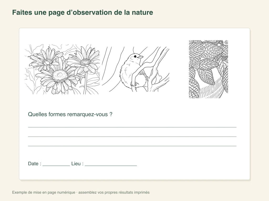 Une page d’observation de la nature : modèle de l’activité sur papier