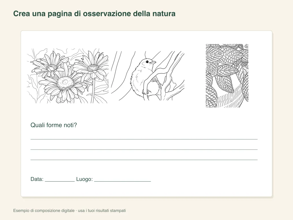 Una pagina di osservazione della natura: schema dell’attività su carta