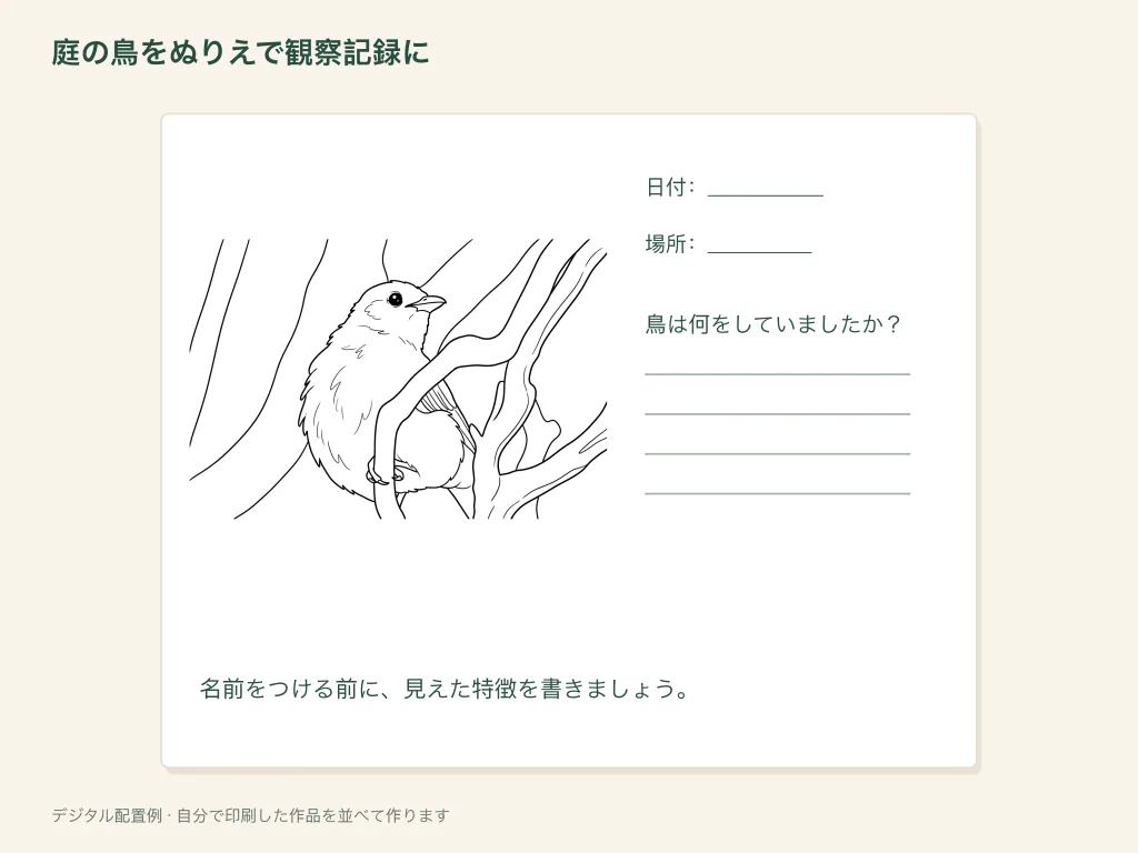庭で見た鳥のぬりえ記録を作る、紙の活動の配置例