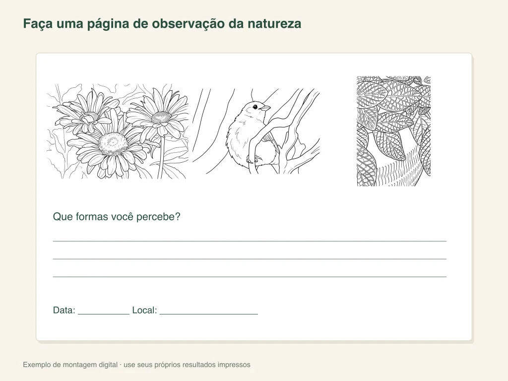 Uma página de observação da natureza: organização da atividade em papel
