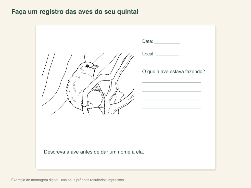 Exemplo de registro em papel para observar aves do quintal e colorir