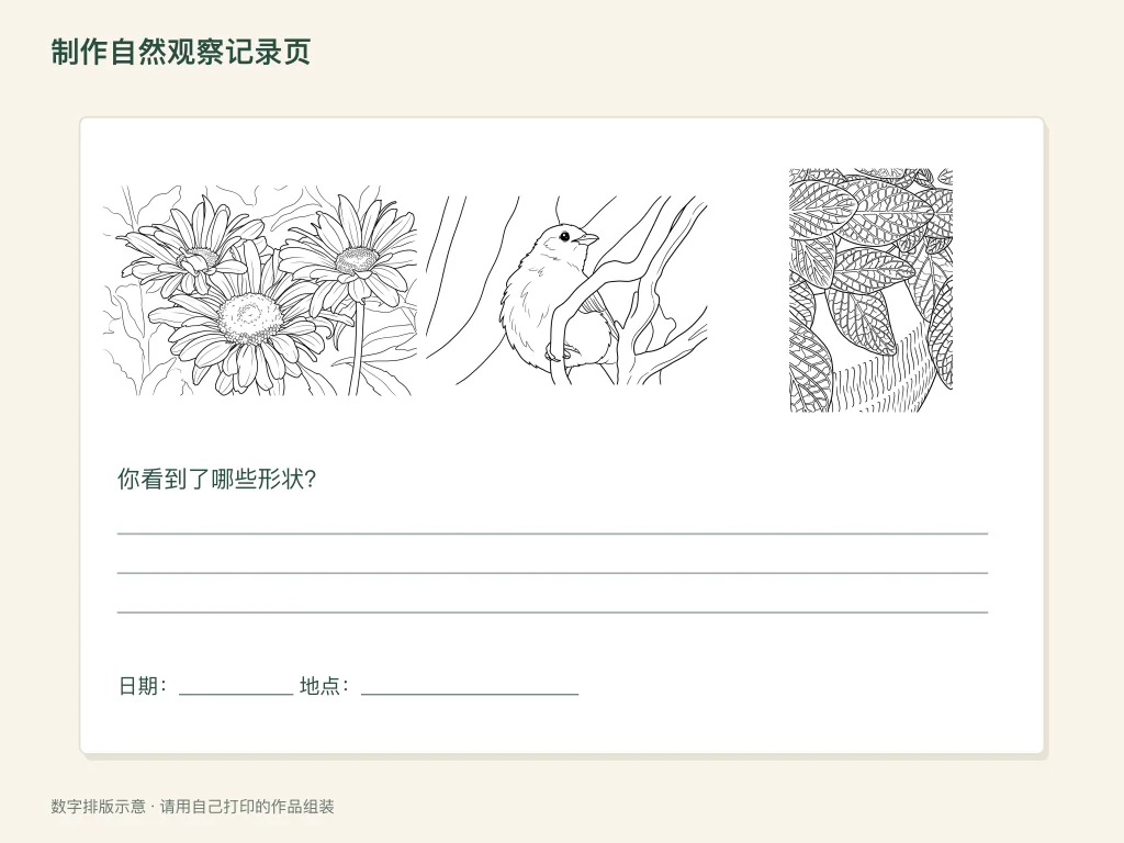 自然观察记录页：纸面活动排版示意