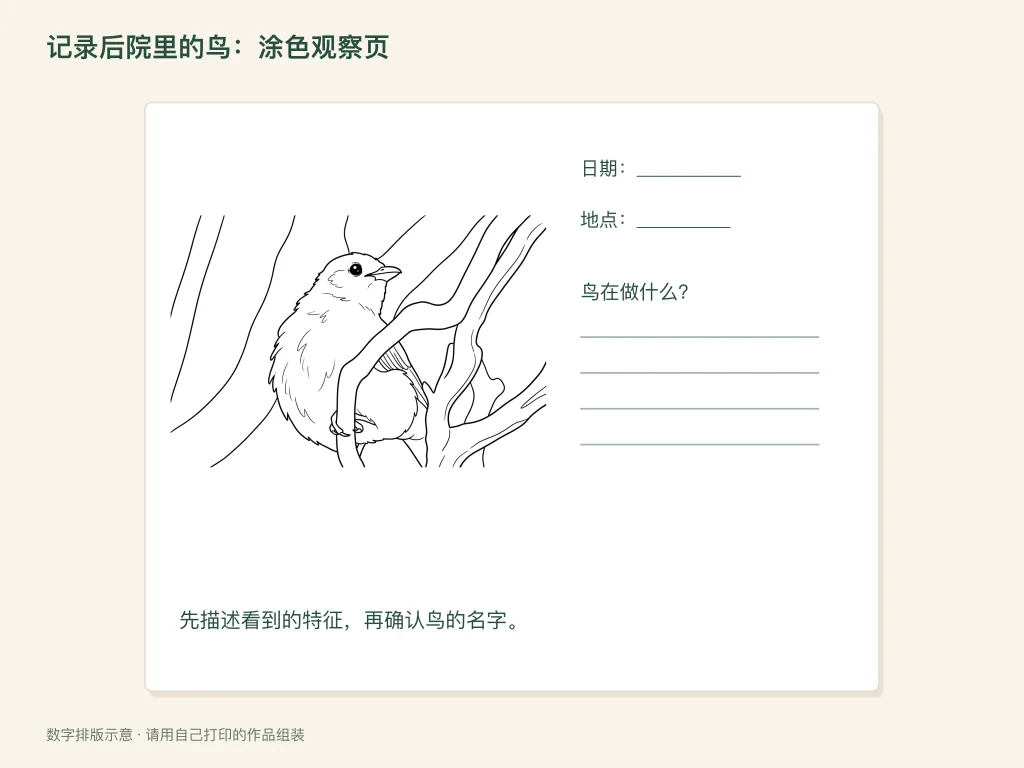 庭院观鸟涂色记录的纸面活动排版示意