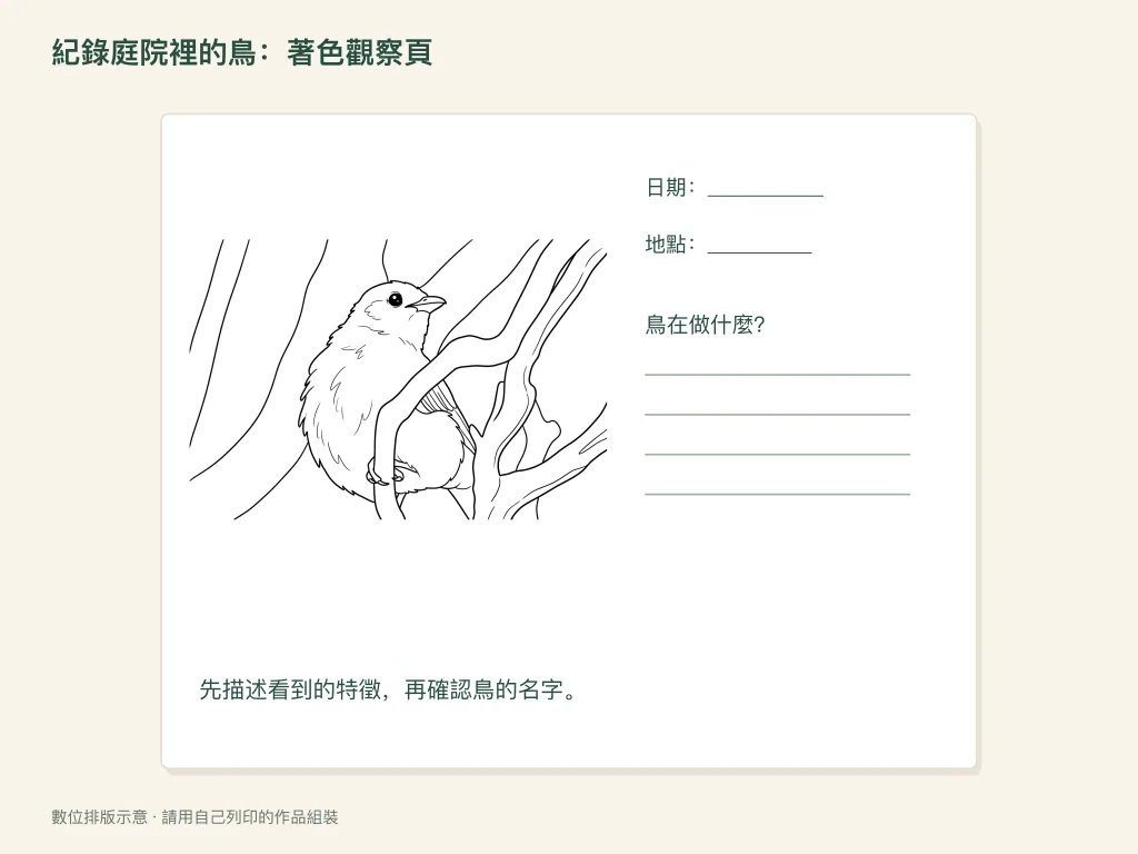 庭院觀鳥著色紀錄的紙面活動排版示意