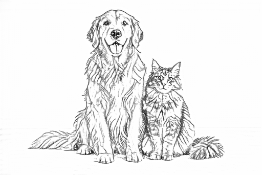 Real free outlines of the seated dog and cat at 512 px