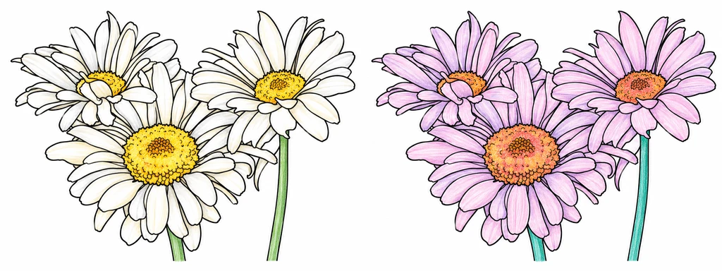 Two color studies of three flowers, with natural white petals and an invented pink and purple palette