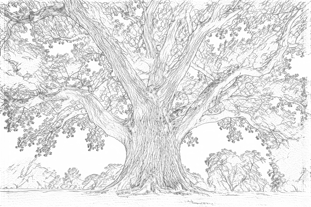 Real Free outlines of the large tree, with dense bark and leaf texture