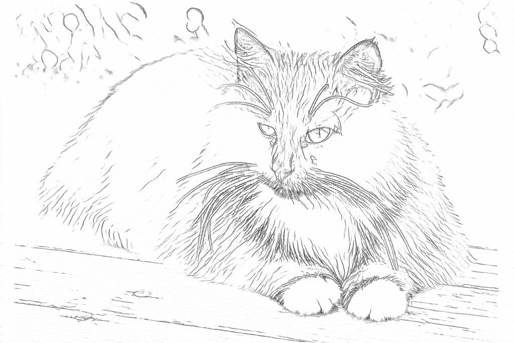 Real Free outlines of the resting cat, retaining fine fur and whiskers with faint areas around the body
