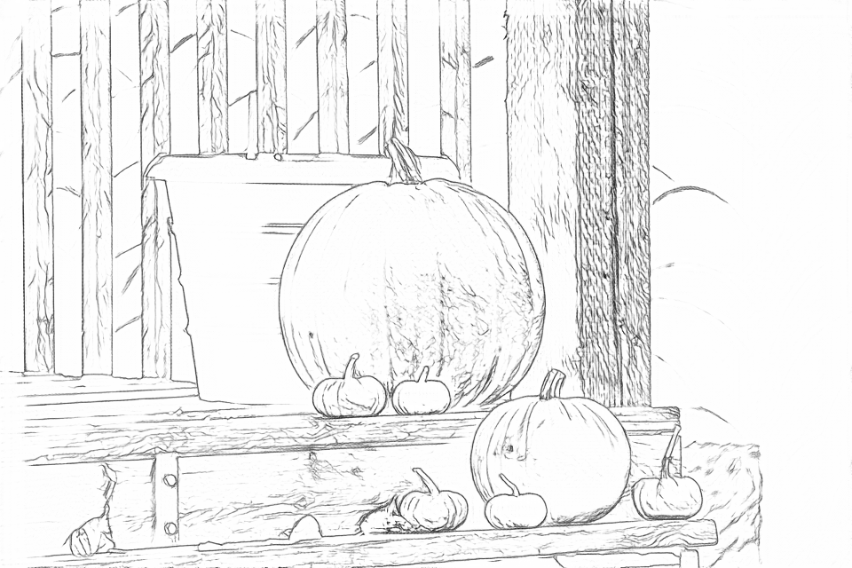 Free outlines of porch pumpkins, including fine texture and background edges