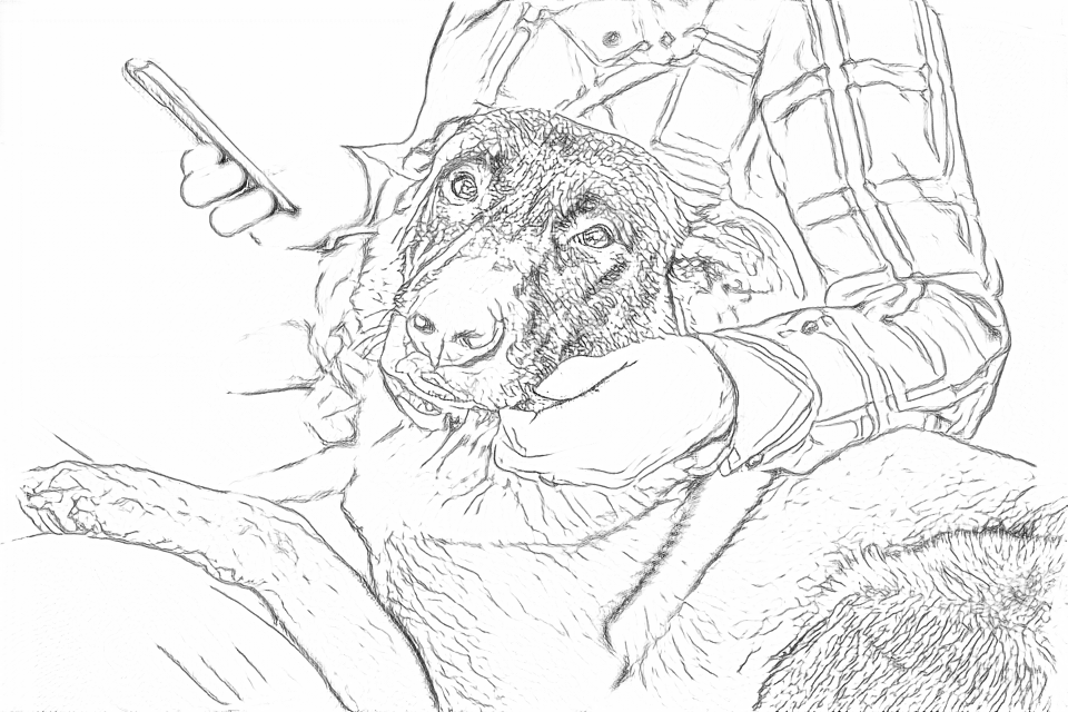 Free outlines of a dog held by a person wearing a checked shirt