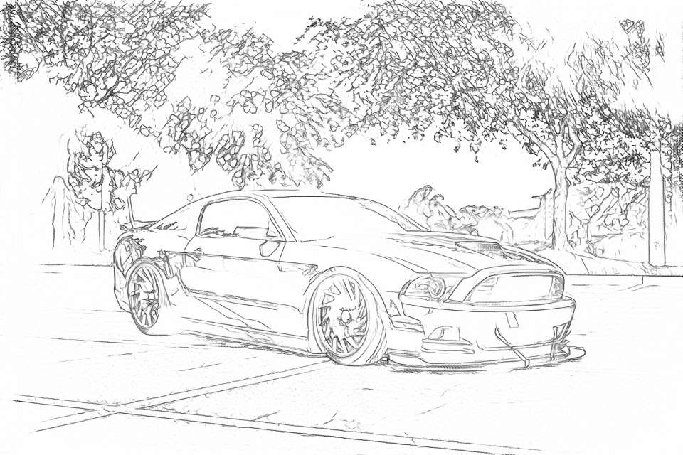 Real Free outlines of the car and parking scene with fine reflection and leaf edges